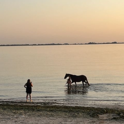 Oosterschelde