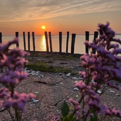 Oosterschelde
